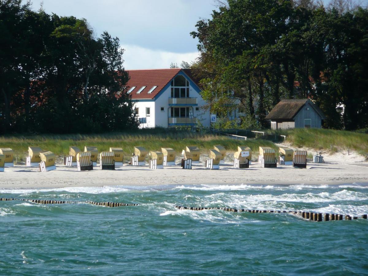 Residenz Am Strand Wohnung 2-36 Zingst Eksteriør billede