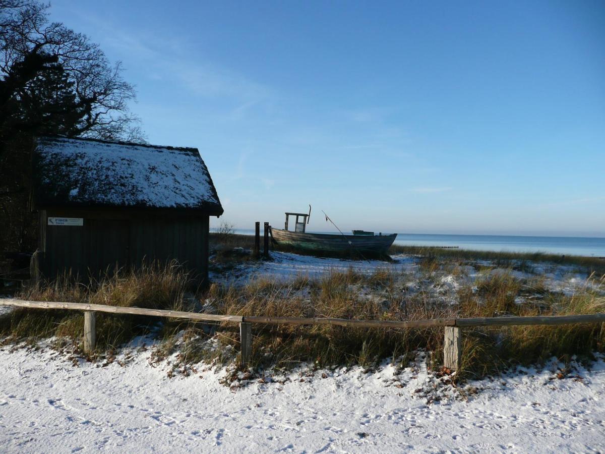 Residenz Am Strand Wohnung 2-36 Zingst Eksteriør billede